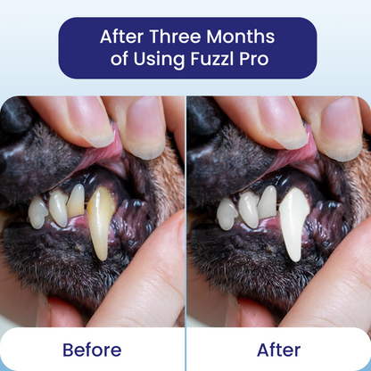 Fuzzl Plaque Powder 170g Pro Max Strength Vet Approved – Advanced