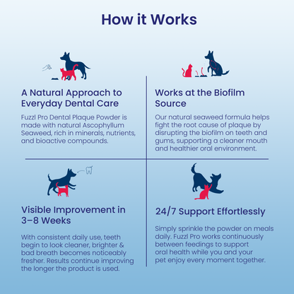 Fuzzl Plaque Powder 170g Pro Max Strength Vet Approved – Advanced