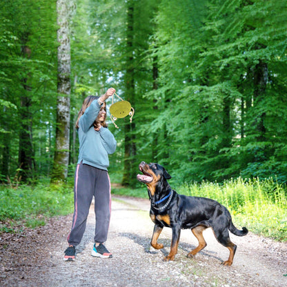 Fuzzl Eco Leather Lily Frog and Tough Dog Toys - Long Lasting Chew