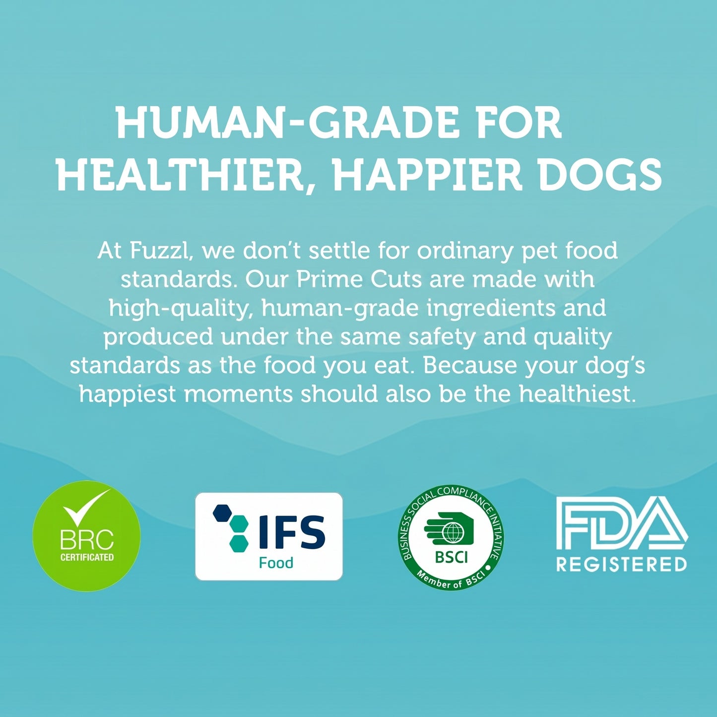 Fuzzl Prime Cuts 1kg Variety Pack | Natural Dog Treats – 5 Types - Fuzzl Pet