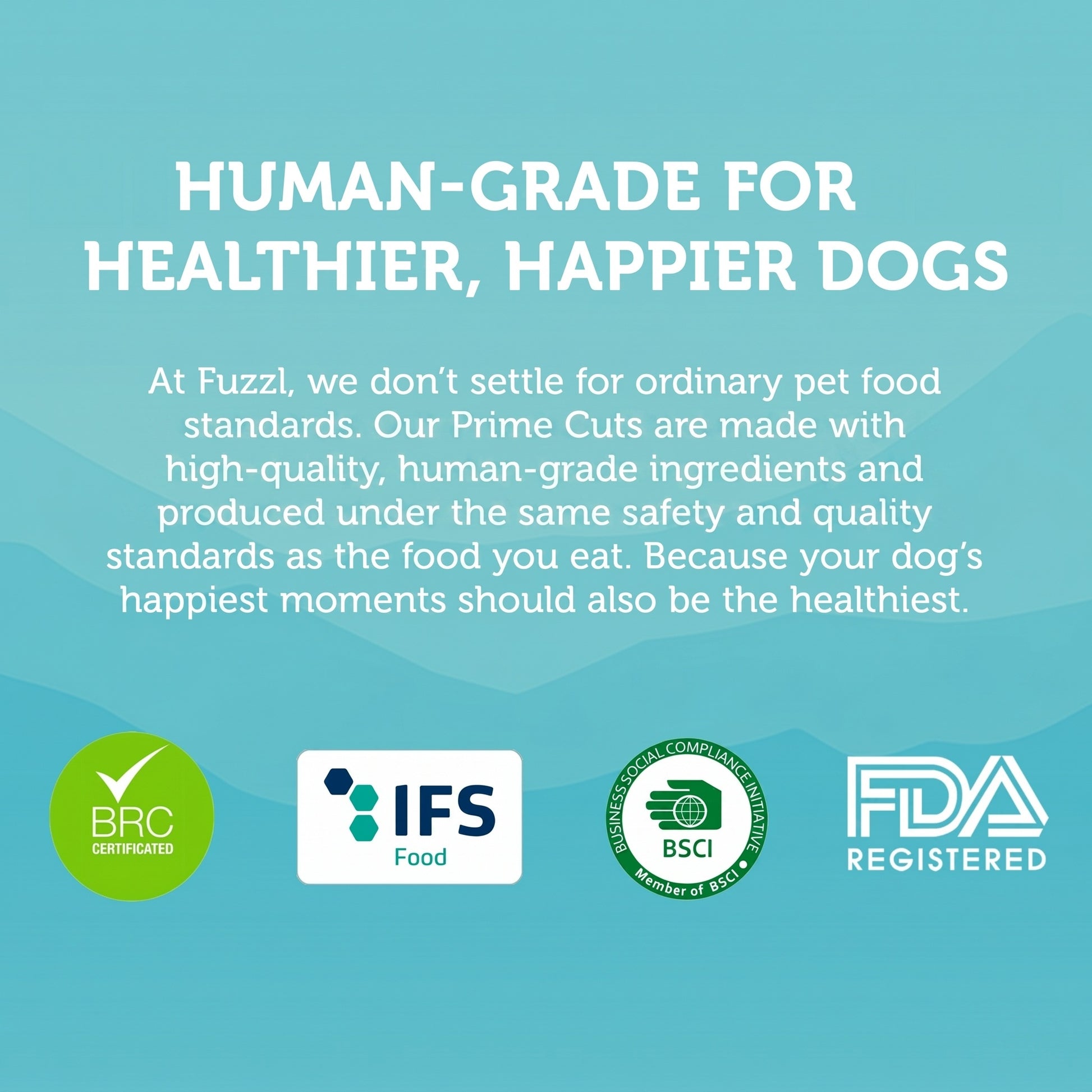Fuzzl Prime Cuts 1kg Variety Pack | Natural Dog Treats – 5 Types - Fuzzl Pet