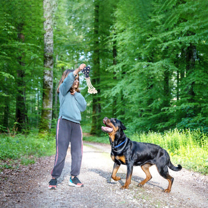 Fuzzl Eco Leather Otto Octopus Dog Toy