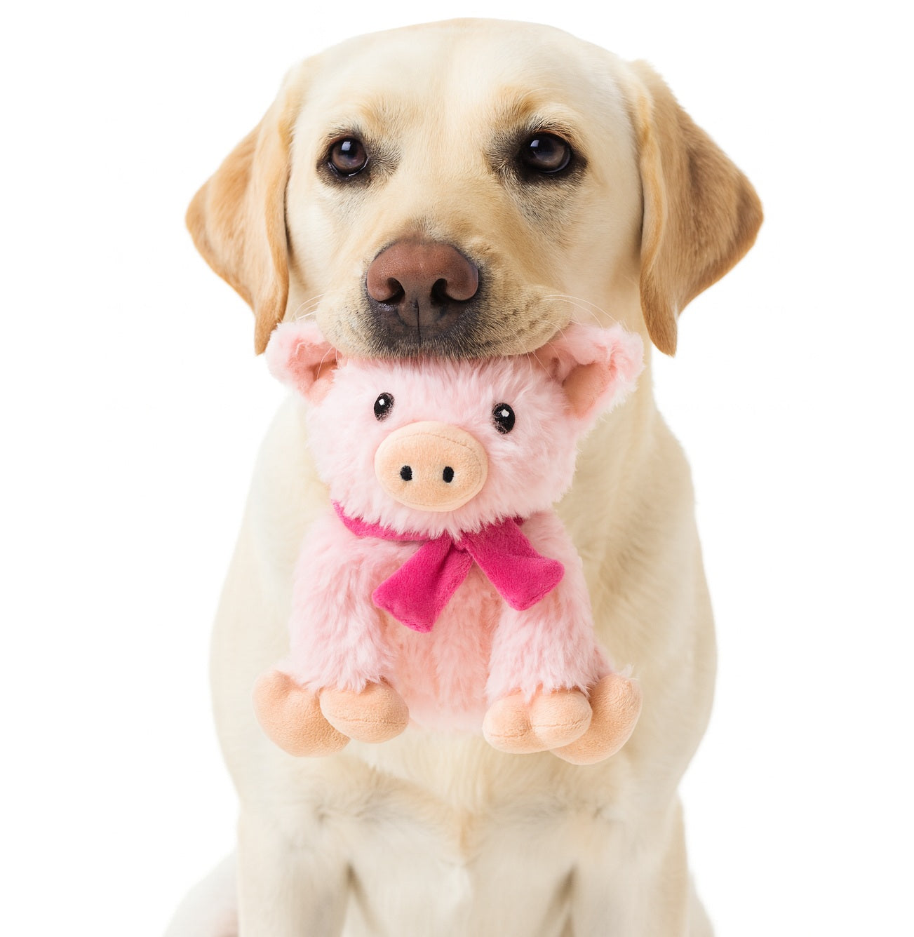 Fuzzl Super Soft Plush Pig Dog Toy with Giggle Squeaker – Durable - Fuzzl Pet