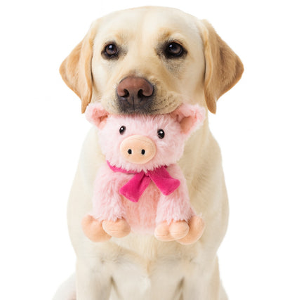Fuzzl Super Soft Plush Pig Dog Toy with Giggle Squeaker – Durable - Fuzzl Pet