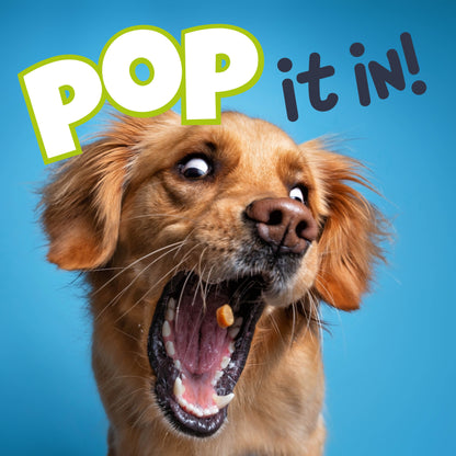 Fuzzl Puppy Pops Variety Pack WITH Glow Ball – Durable Dog Toy - Fuzzl Pet