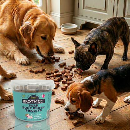 Fuzzl Broth Co. | Pork Bone Broth & Apple Dog Treats (1kg Bulk Tub)