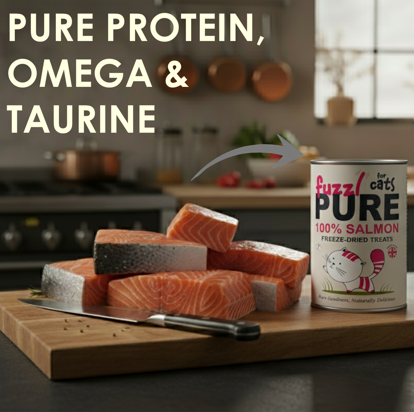 Fuzzl PURE Freeze Dried Salmon Cat Treats | 50g Pouch - Fuzzl Pet