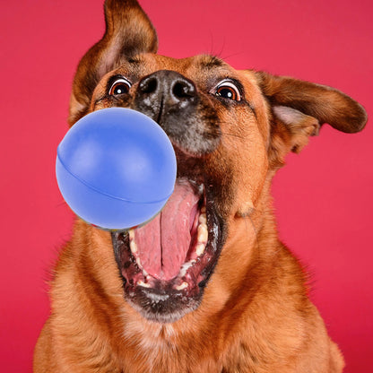 Fuzzl Eco Solid Rubber Ball 4 Pack Dog Balls – Durable Dog Toy - Fuzzl Pet