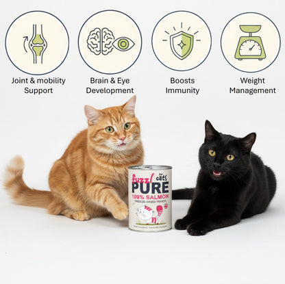 Fuzzl PURE Freeze Dried Salmon Cat Treats | 50g Pouch - Fuzzl Pet