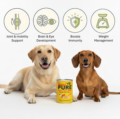 Fuzzl PURE Freeze Dried Scottish Salmon - Dog - 150g tube