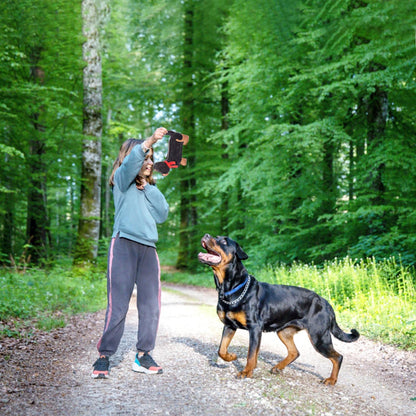 Fuzzl Eco Leather Sizzles the Dachshund