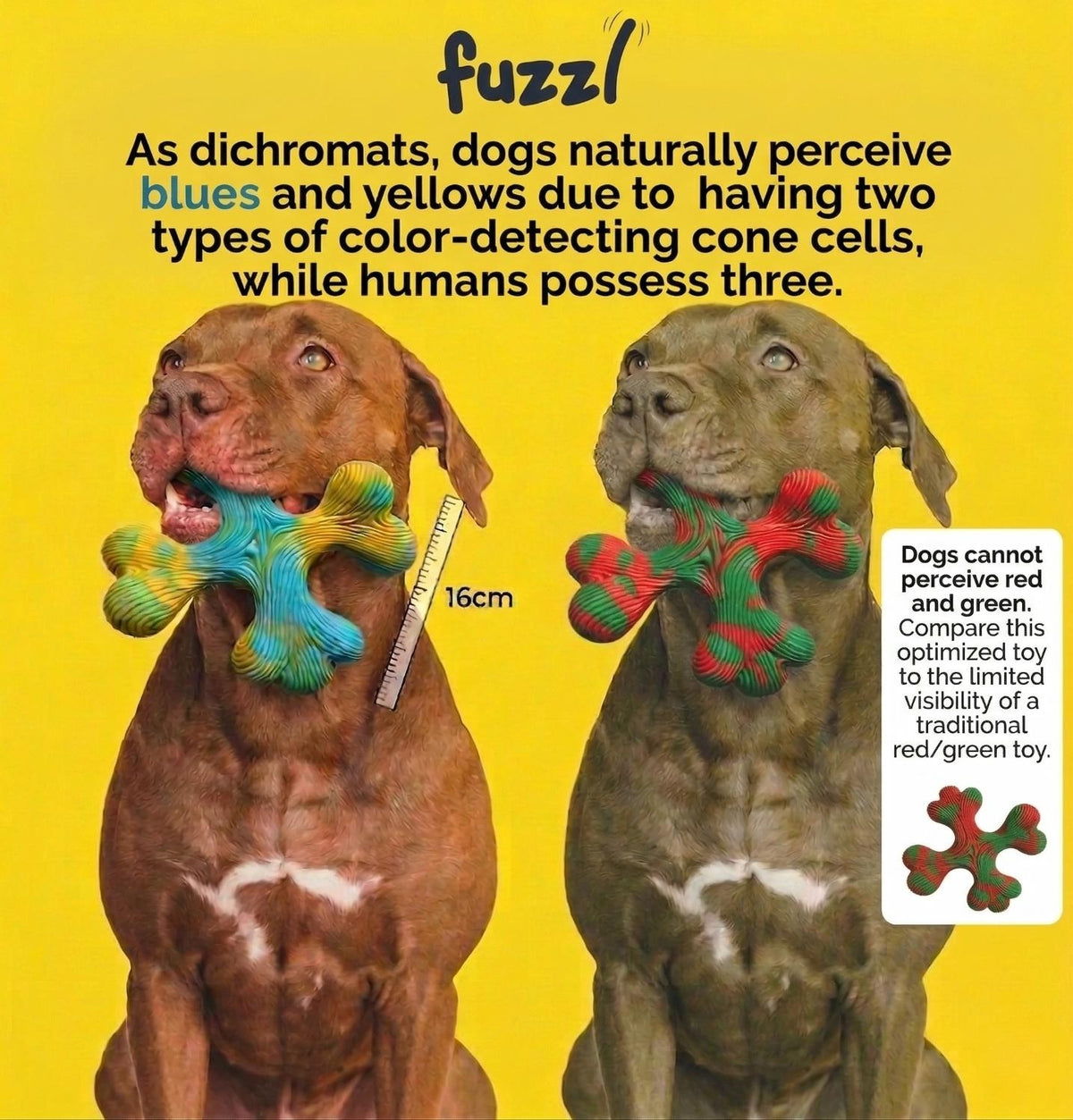 Fuzzl VIOCORE Tuff Chew Ring | High-Visibility Nylon Dog Toy - Fuzzl Pet