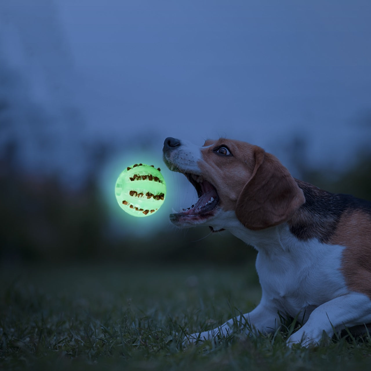 Fuzzl Super Glow Dog Ball Treat Toy and Dental Toy for Dogs and - Fuzzl Pet