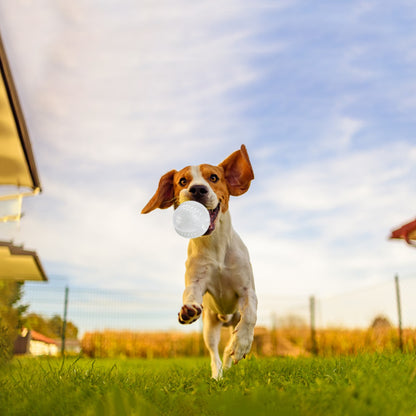 Fuzzl Super Glow Dog Ball and Rugby Treat and Dental Toy - Dog and - Fuzzl Pet