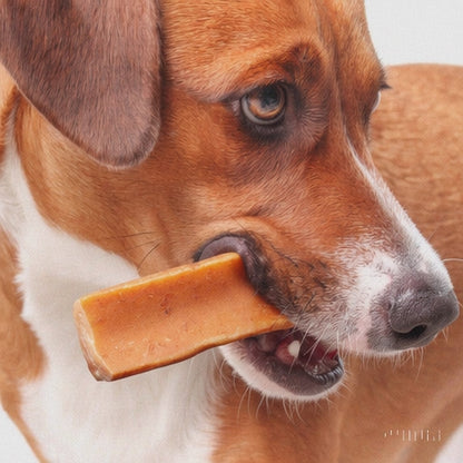 Fuzzl Yak Chews with Honey Medium 2 Pack - Himalayan Yak Chews for