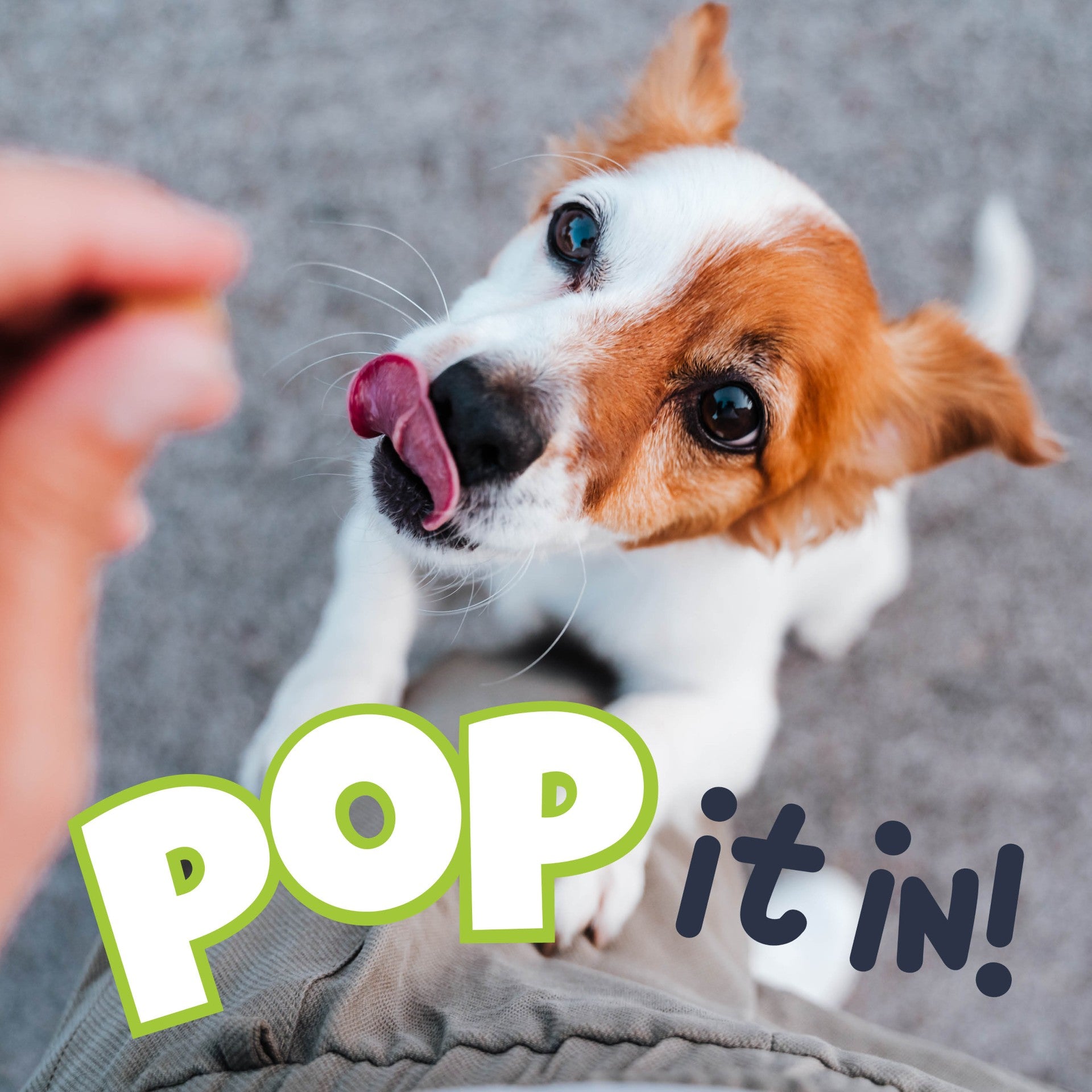 Fuzzl Puppy Pops - Varity Pack 2 x Beef & Sweet Potato, 2 x Chicken - Fuzzl Pet