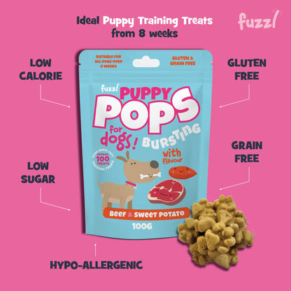 Fuzzl Puppy Pops - Varity Pack 2 x Beef & Sweet Potato, 2 x Chicken - Fuzzl Pet