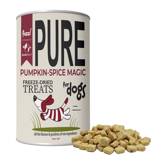 Fuzzl Pure Freeze Dried Chicken Breast Pumpkin Spice Magic Dog - Fuzzl Pet